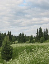 Аватара пользователя