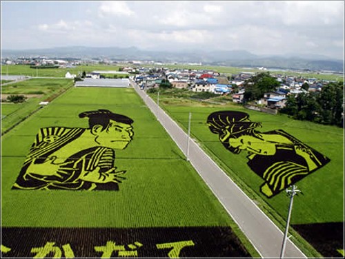 rice_art1.jpg