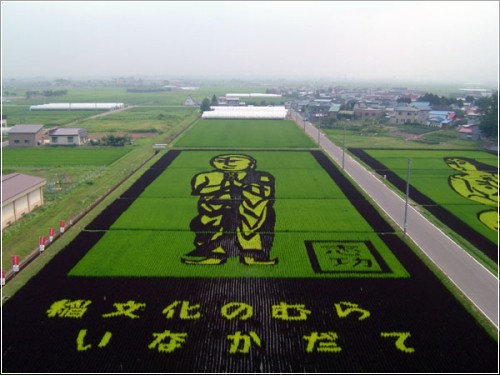 rice_art8.jpg