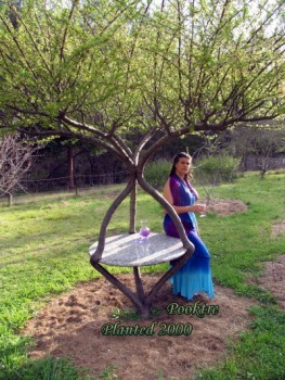 becky-living-garden-table.jpg