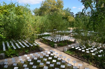 12_Le jardin de plantes disparues_2_s.jpg