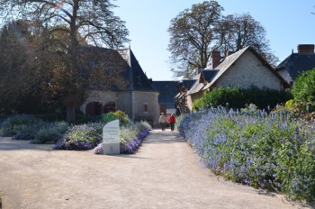 5_Chaumont-Sur-Loire_s.jpg