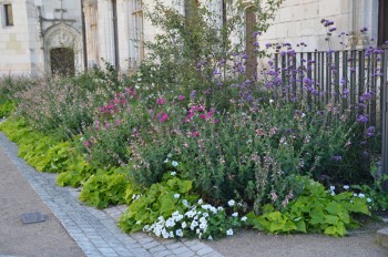 Chaumont-Sur-Loire_ (89)_s.jpg