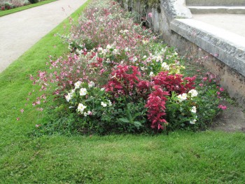 Chenonceaux_ (153)_s.jpg