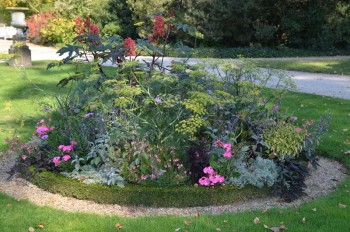 Jardin de Bagatelle_ (75)_s.jpg