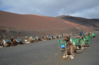 Timanfaya_ (2) (копия).jpg