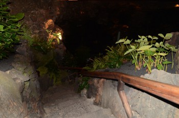 Jameos del Aqua_ (15) (копия).jpg