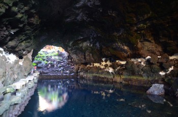 Jameos del Aqua_ (192) (копия).jpg