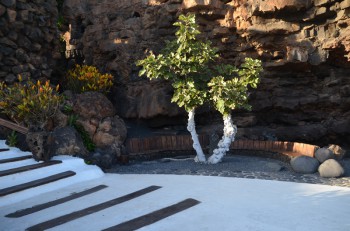 Jameos del Aqua_ (258) (копия).jpg