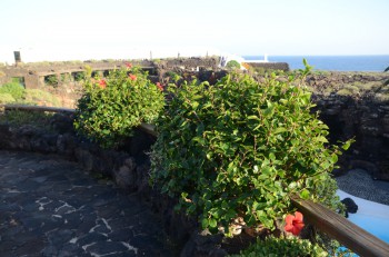 Jameos del Aqua_ (275) (копия).jpg