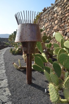 Jardin de Cactus_ (31) (копия).jpg