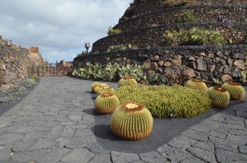 Jardin de Cactus_ (44) (копия).jpg