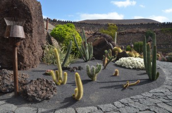 Jardin de Cactus_ (53) (копия).jpg