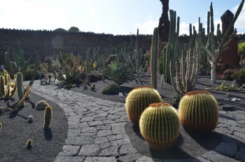 Jardin de Cactus_ (71) (копия).jpg