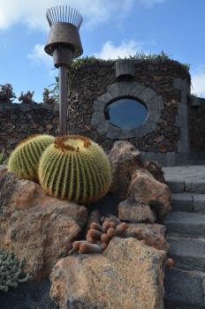 Jardin de Cactus_ (80) (копия).jpg