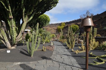 Jardin de Cactus_ (163) (копия).jpg