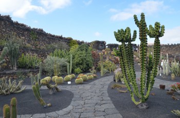 Jardin de Cactus_ (167) (копия).jpg