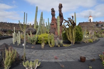 Jardin de Cactus_ (170) (копия).jpg