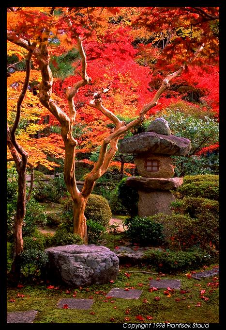 momiji-garden-enkoji-31.3.jpg