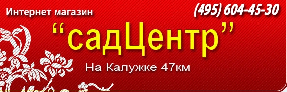 logo_red.jpg